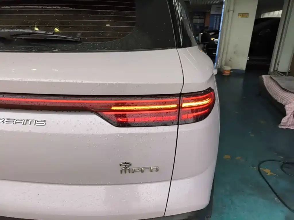 BYD Pro New Energy 2024 — фото 8