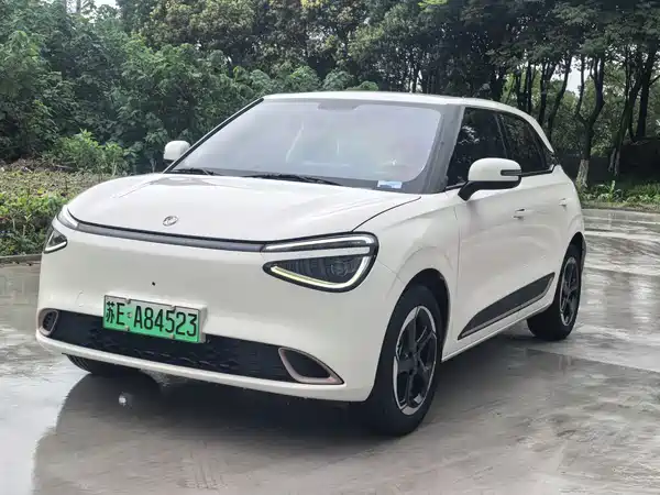 Dongfeng Nano 01 2024