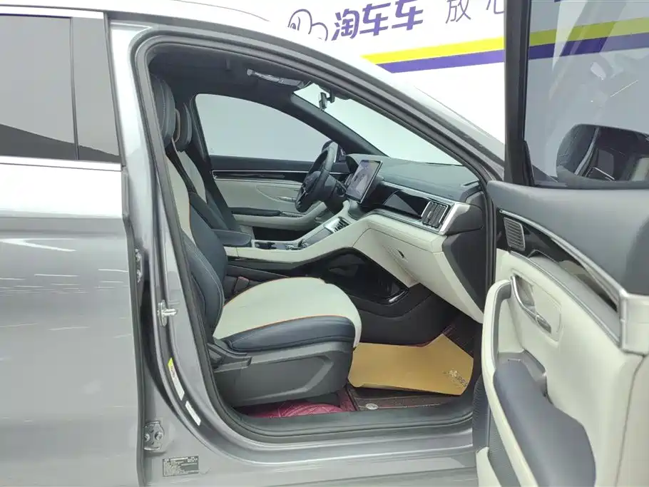 BYD PLUS New Energy 2024 — фото 8