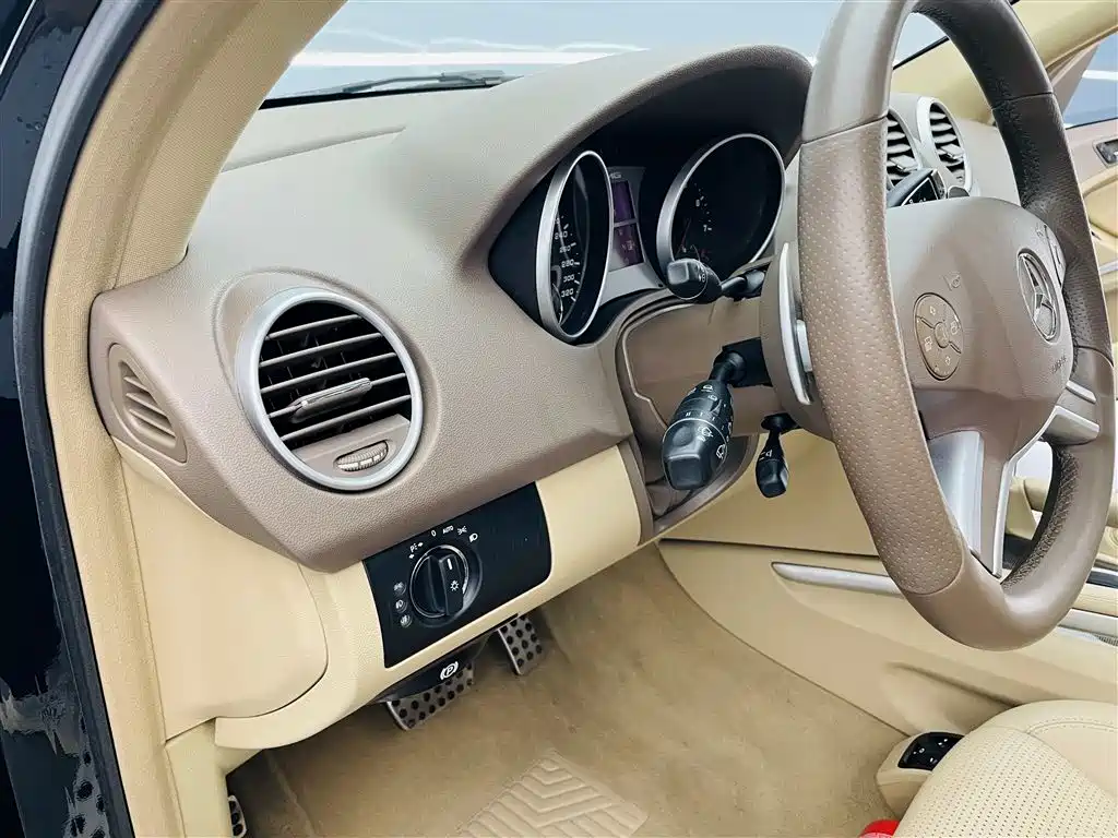 Mercedes-Benz M-Class AMG 2010 — фото 13