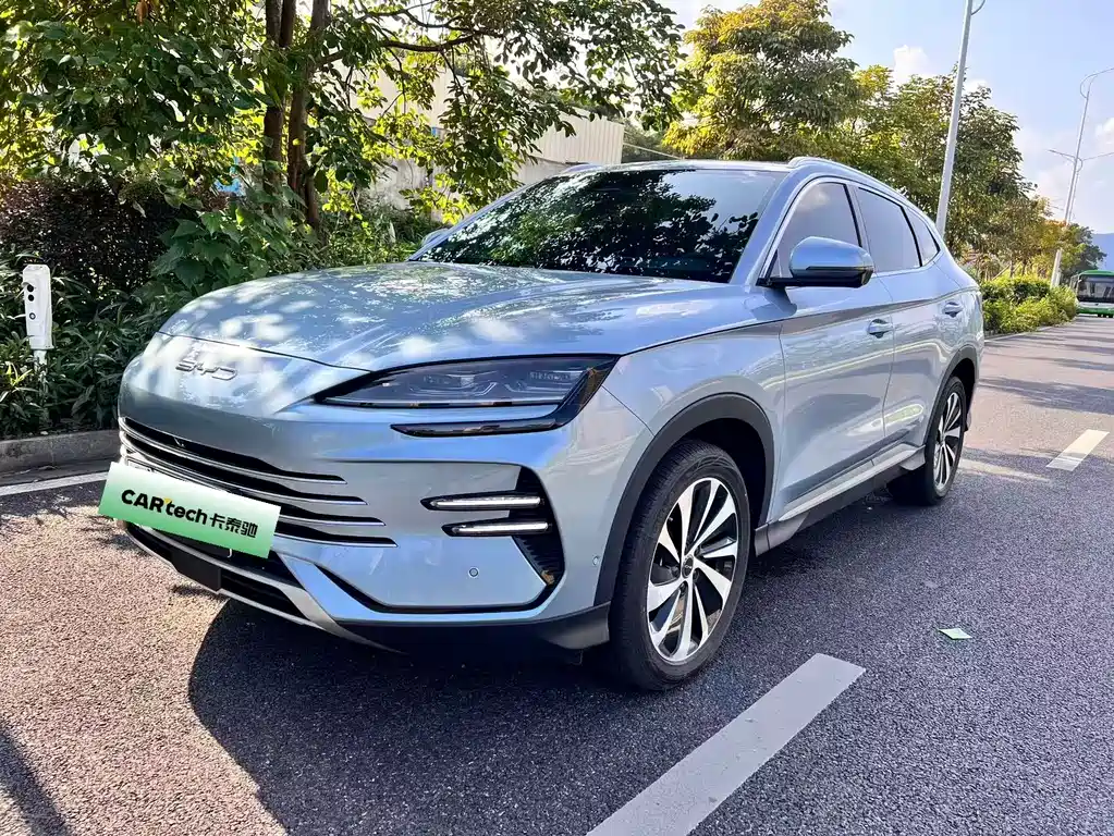 BYD PLUS New Energy 2024 — фото 1