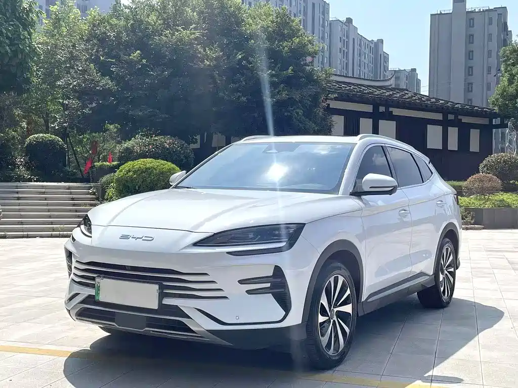 BYD PLUS New Energy 2023 — фото 1
