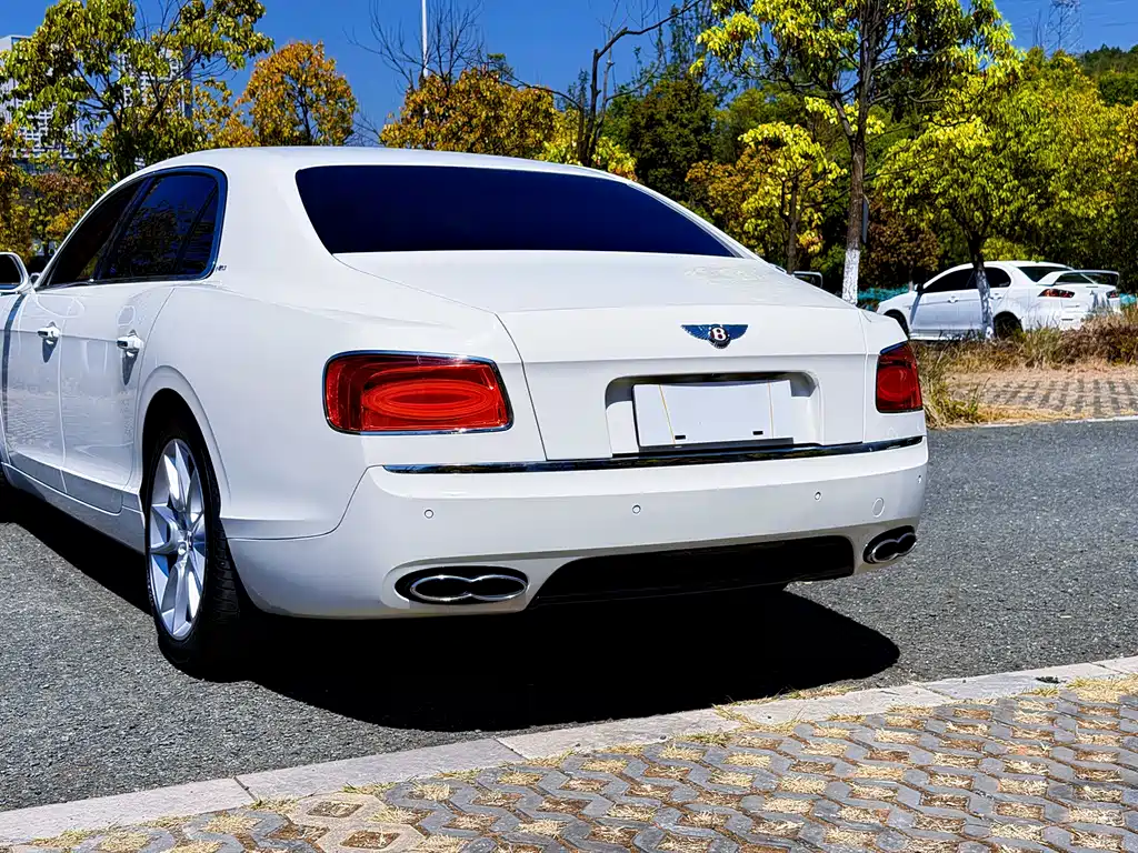 Bentley Flying Spur 2020 — фото 26