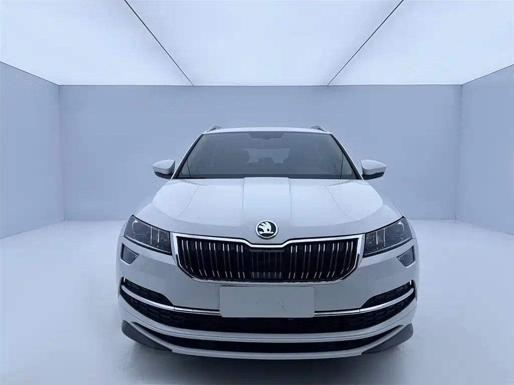 Skoda Karoq 2024 — фото 2