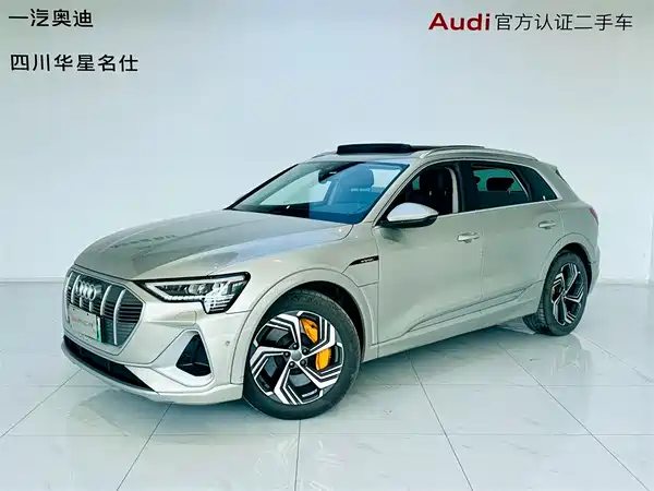 Audi e-tron 2021