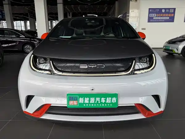 BYD Dolphin 2021