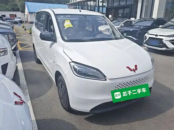 Wuling Hongguang New Energy 2026