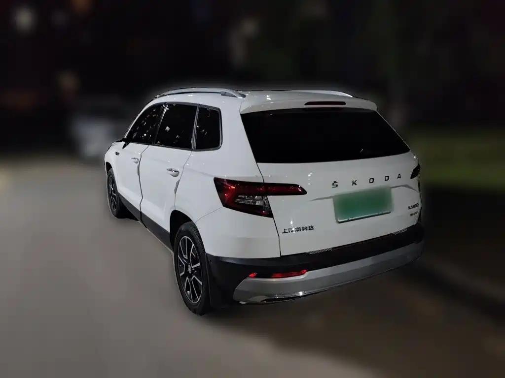 Skoda Karoq 2019 — фото 25