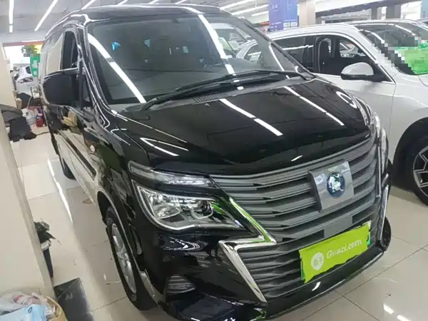 Dongfeng Lingzhi New Energy 2022