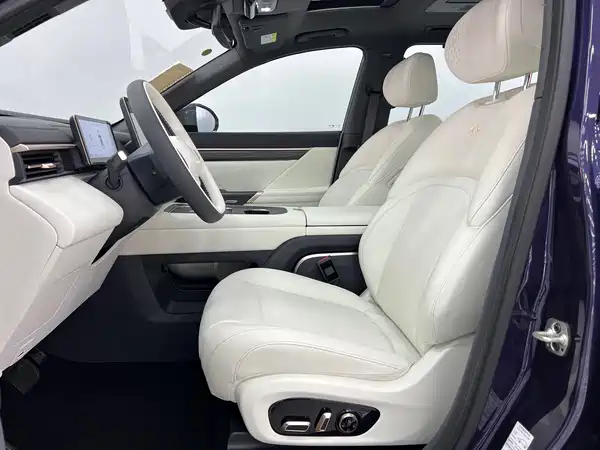 Dongfeng e008 2024