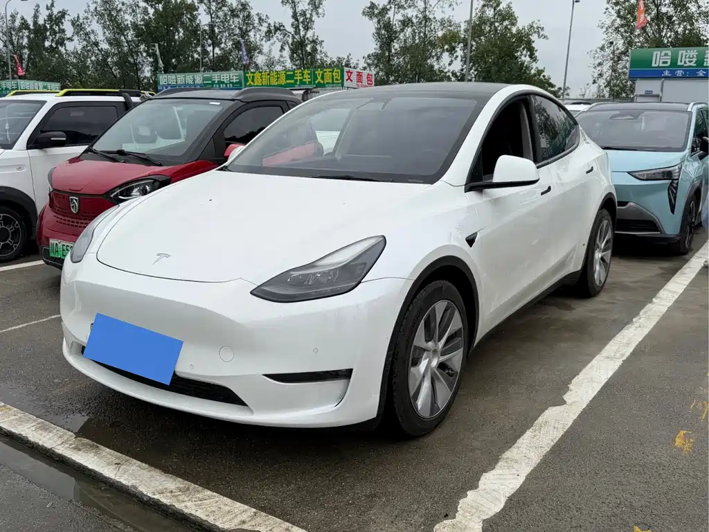 Tesla Model Y 2021 — фото 1