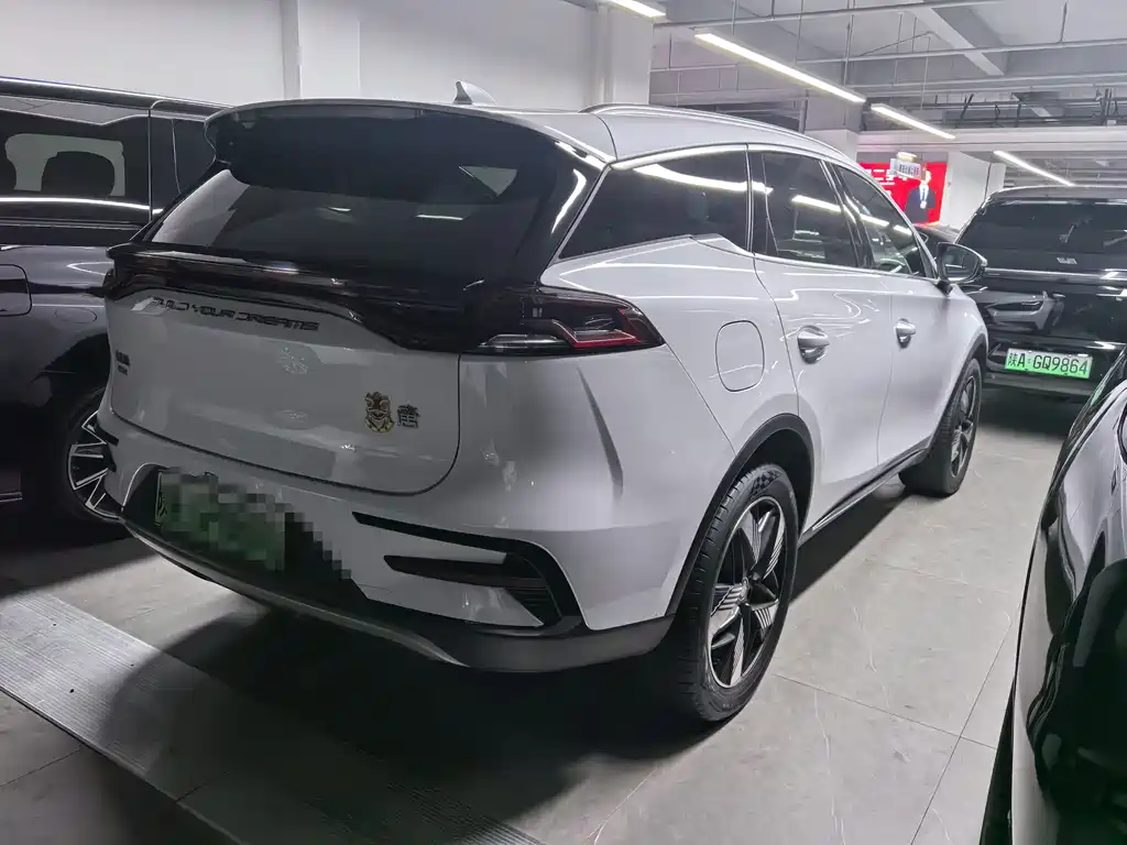 BYD Tang New Energy 2024 — фото 16