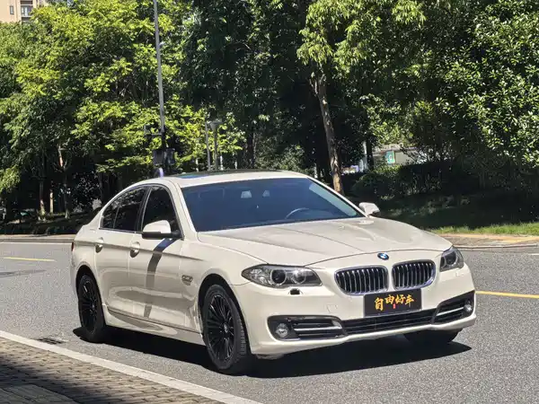 BMW 5 Series 2014