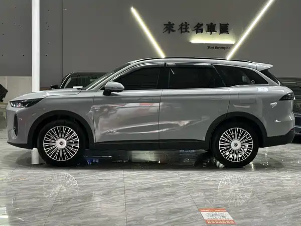 Chery Fengyun T9 2024