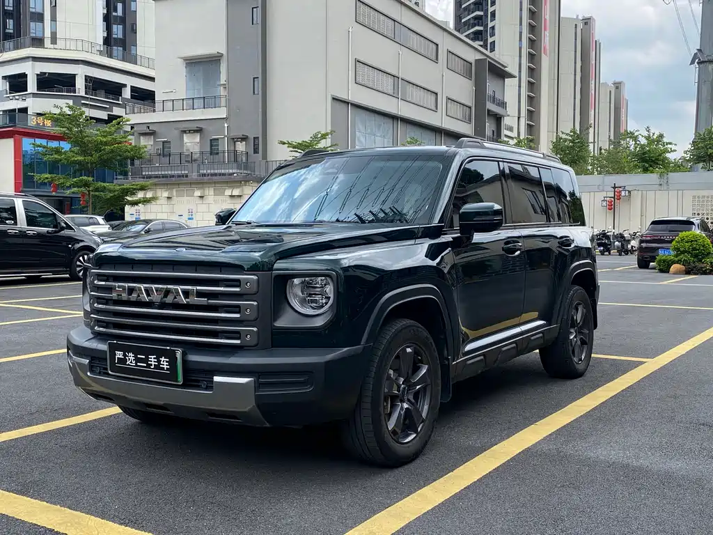 Haval Menglong New Energy 2024