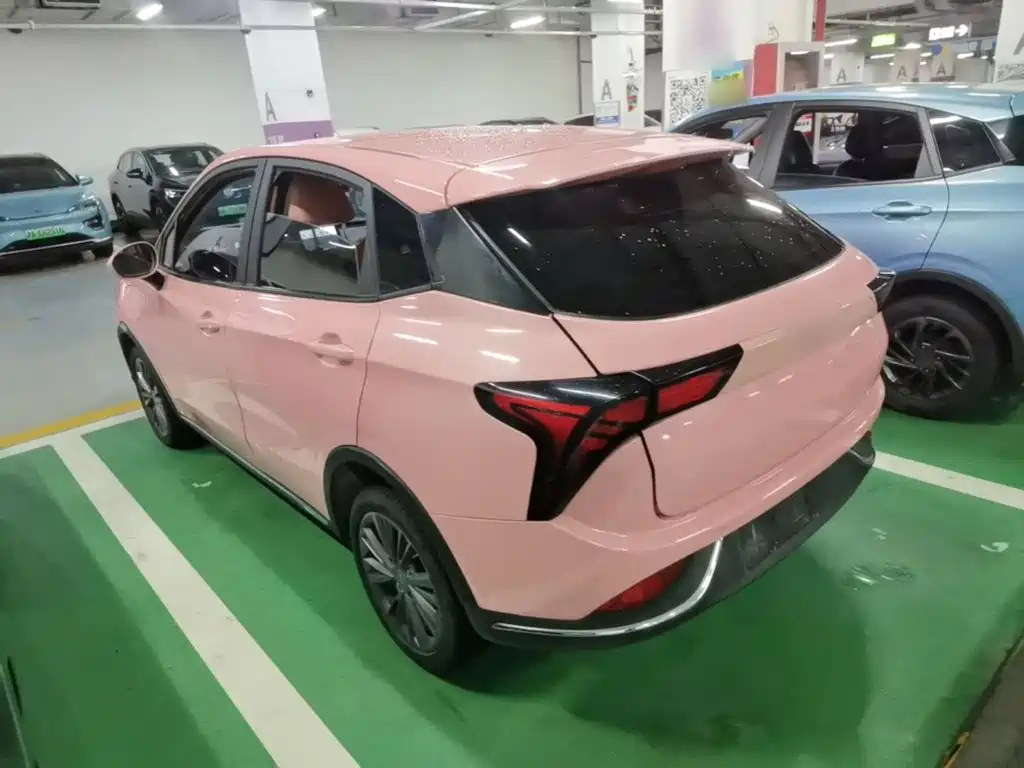 Neta V 2022