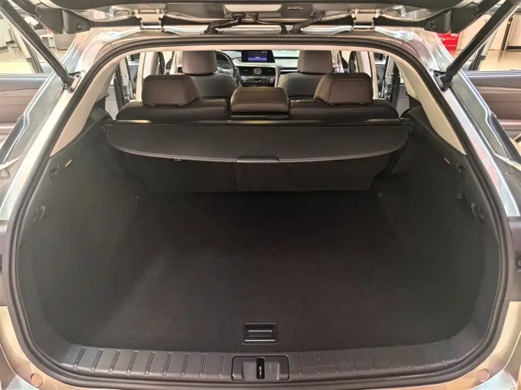 Lexus RX 2018 — фото 19