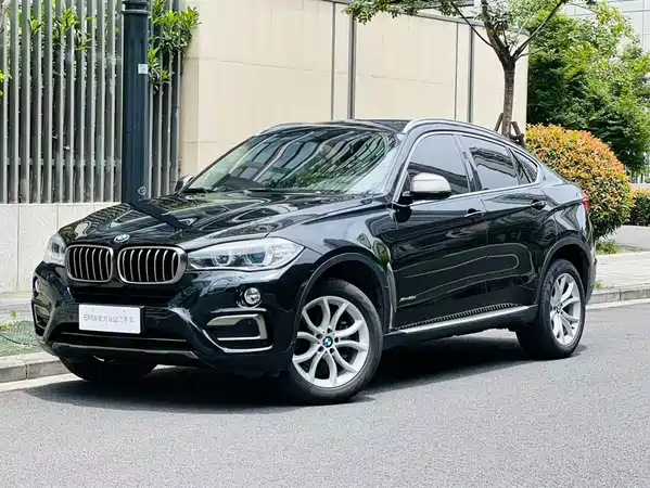 BMW X6 2018