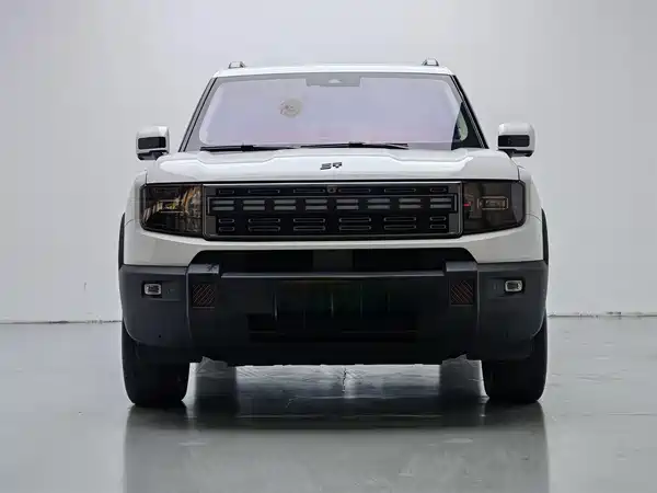 Jetour Shanhai T1 2025