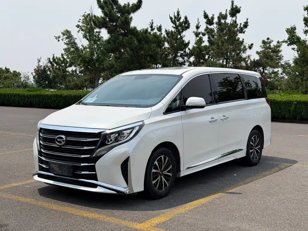 GAC Motor Trumpchi M8 2021 — фото 3