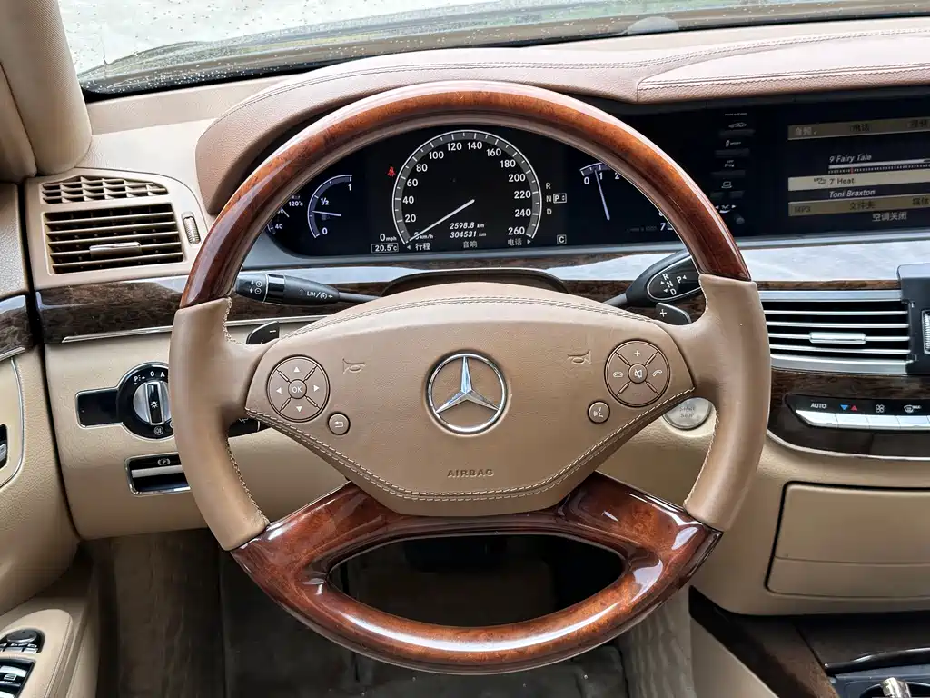 Mercedes-Benz S-Class 2009 — фото 14
