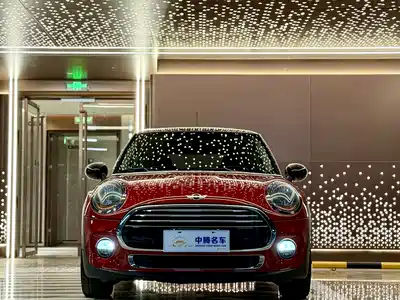 MINI MINI 2018