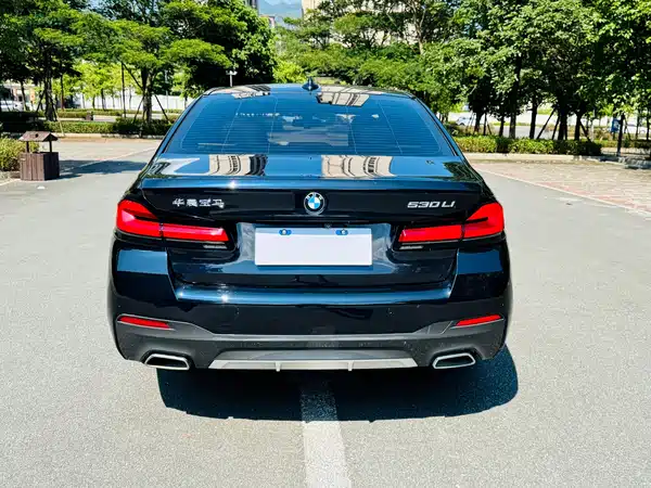 BMW 5 Series 2021