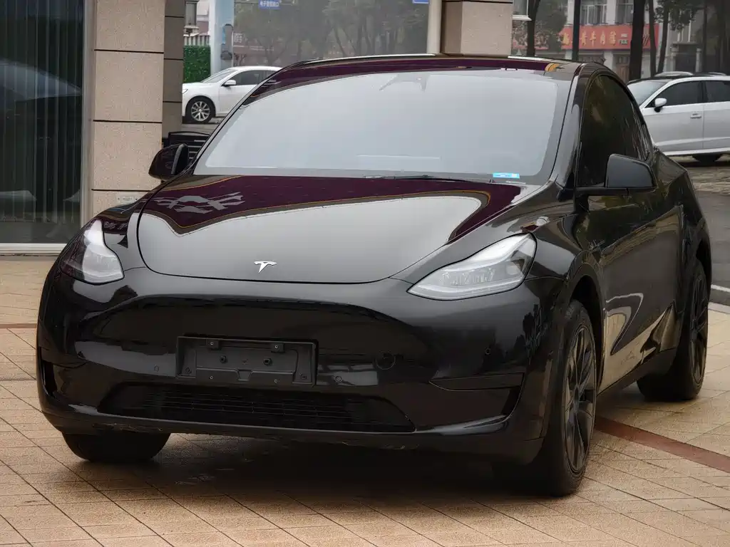 Tesla Model Y 2024 — фото 1
