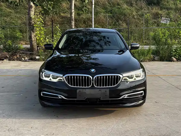 BMW 5 Series New Energy 2019