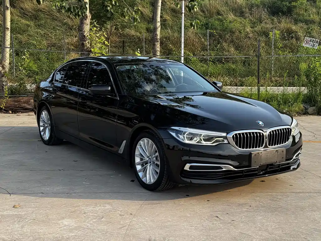 BMW 5 Series New Energy 2019
