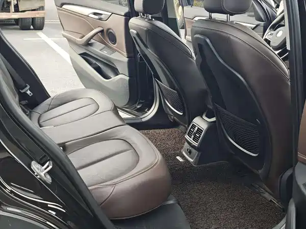 BMW X1 New Energy 2018