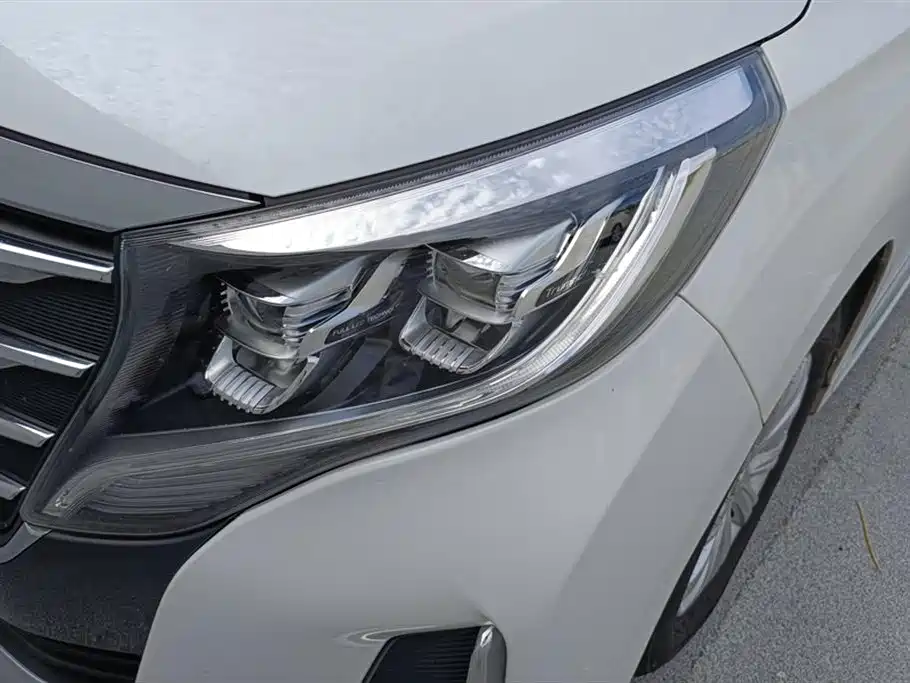 GAC Motor Trumpchi M8 2020 — фото 5