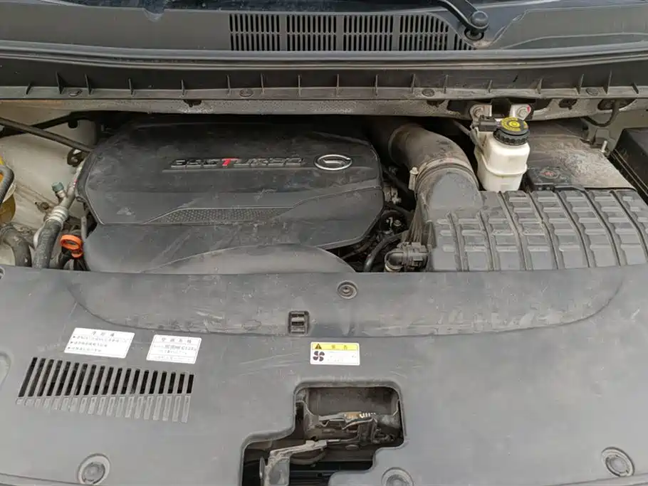 GAC Motor Trumpchi M8 2020 — фото 10
