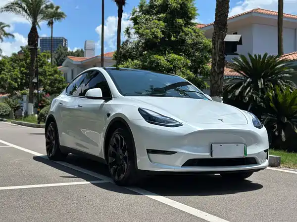 Tesla Model Y 2024