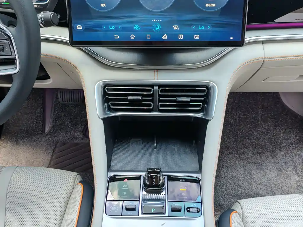 BYD Song PLUS New Energy 2023 — фото 14