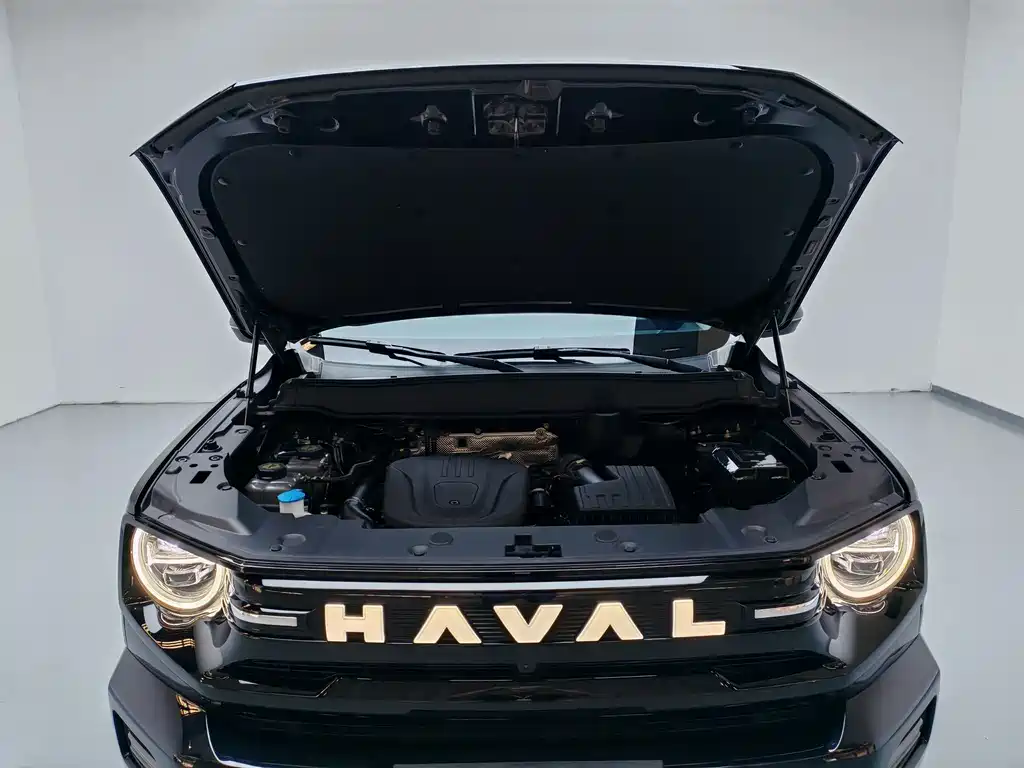 Haval Dargo PLUS EV 2025 — фото 17