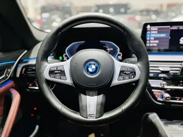 BMW 5 Series New Energy 2021