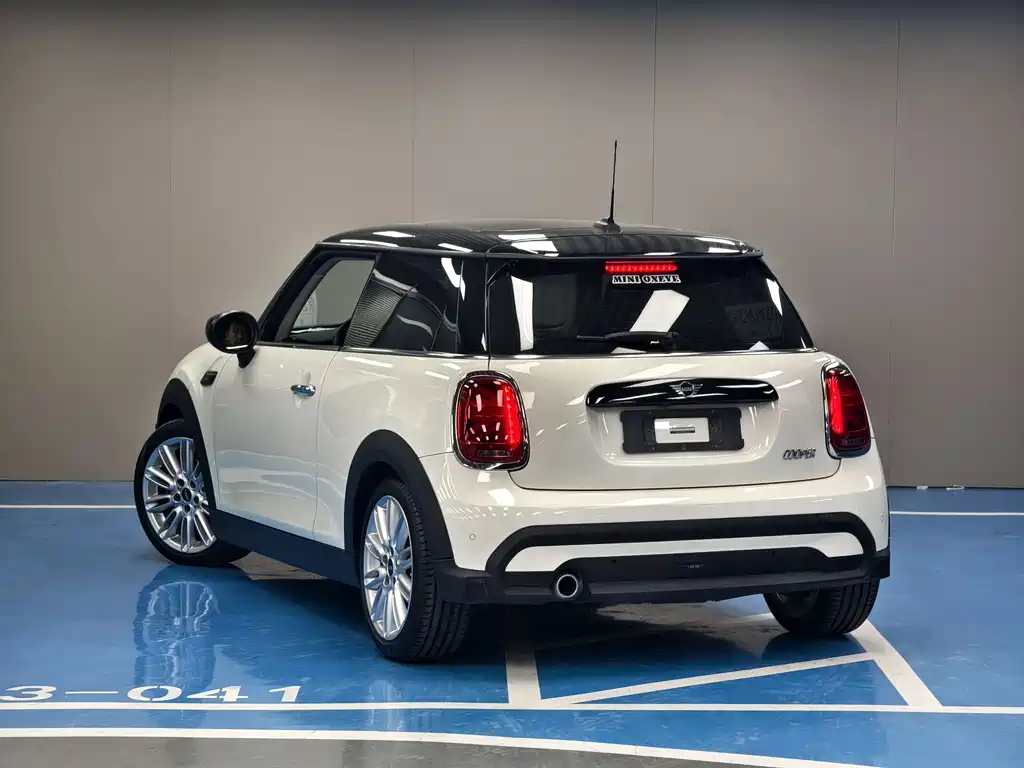 MINI MINI 2022