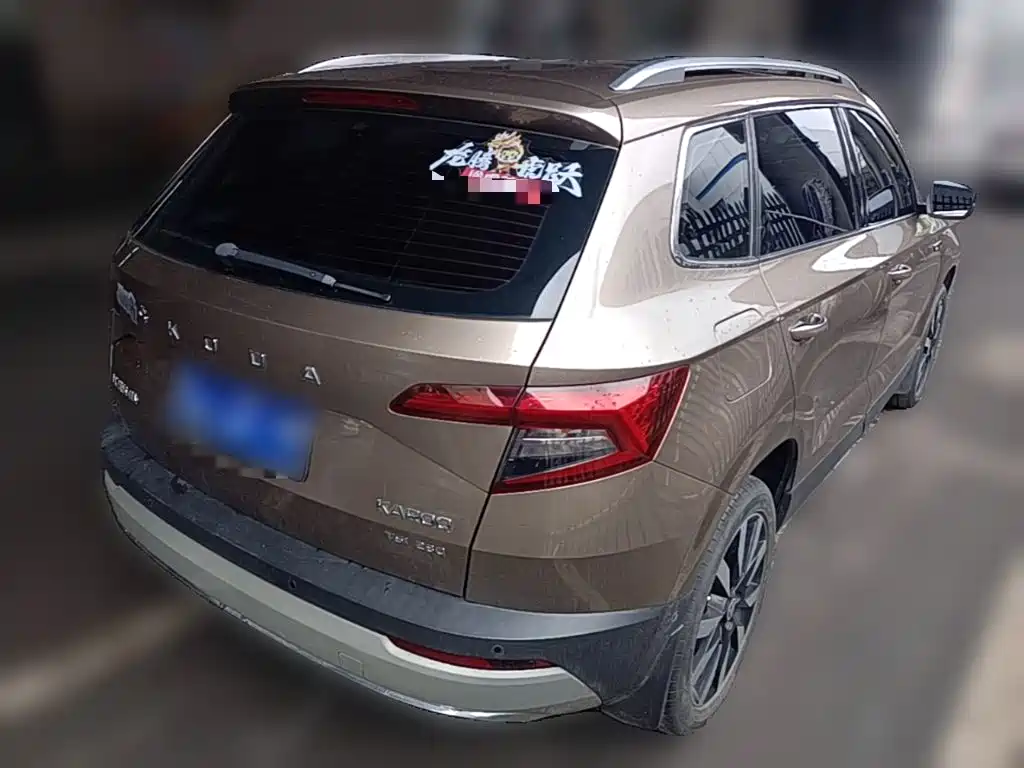 Skoda Karoq 2019 — фото 12