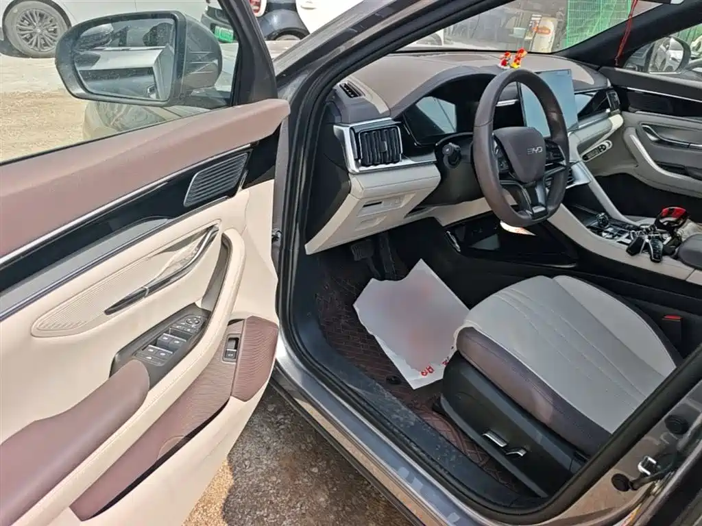 BYD PLUS New Energy 2024 — фото 16