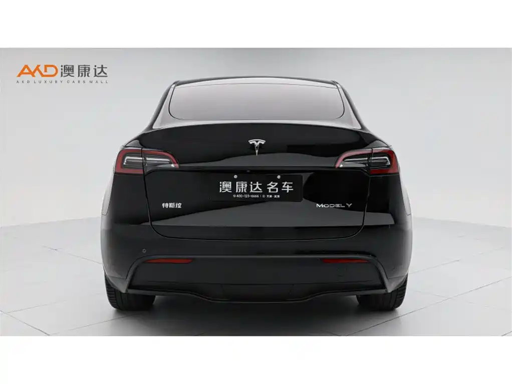 Tesla Model Y 2021 — фото 4