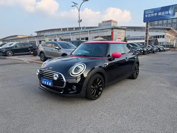 MINI 2019