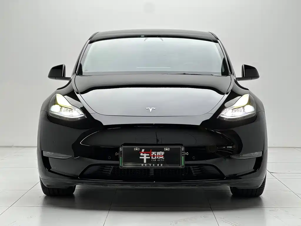 Tesla Model Y 2021 — фото 2