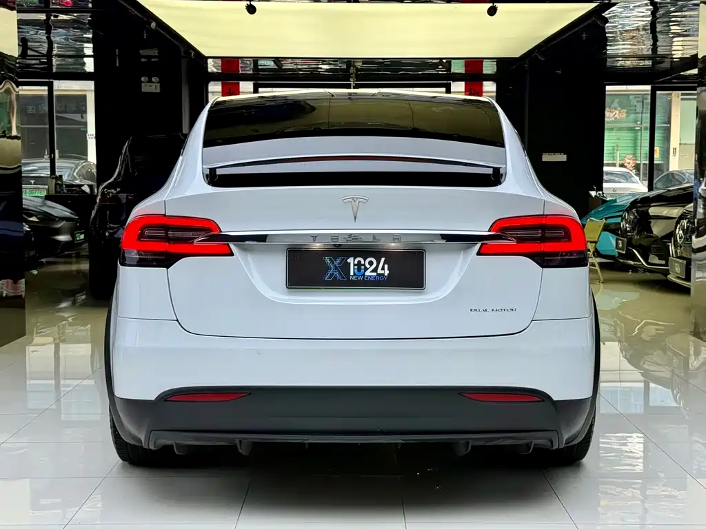 Tesla Model X 2019 — фото 14