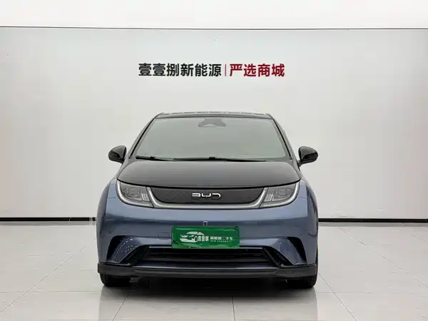 BYD Dolphin 2025
