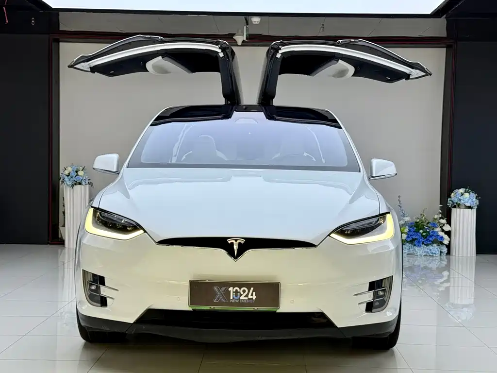 Tesla Model X 2019 — фото 2