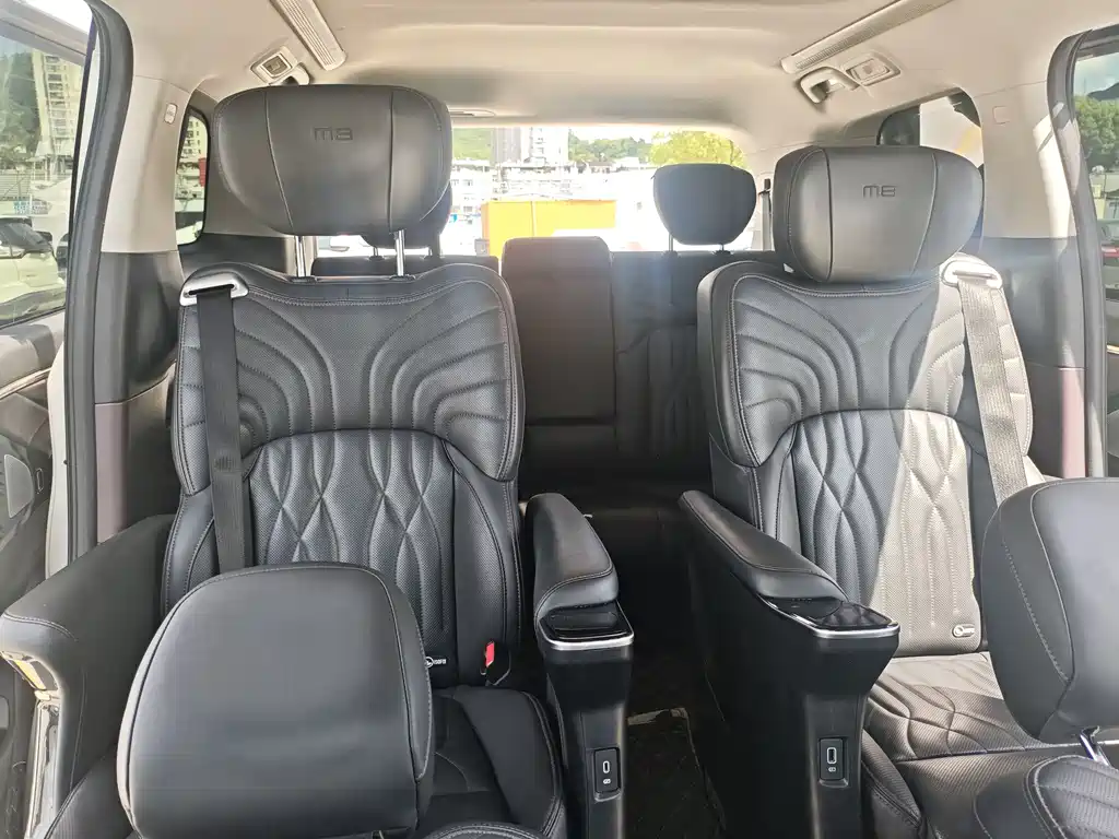 GAC Motor Trumpchi M8 2023 — фото 8