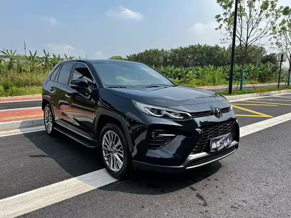Toyota Wildlander 2020