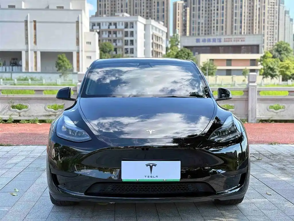 Tesla Model Y 2022 — фото 2