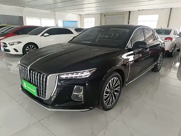 Hongqi H5 2024